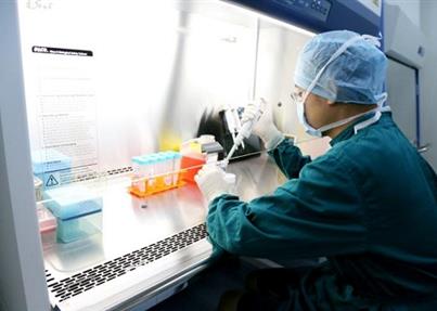 火眼金睛辩雌雄，性别鉴定领域又添国家发明专利