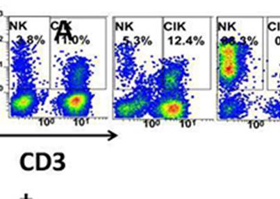 新生命干细胞公司NK细胞体外扩增技术获重大突破