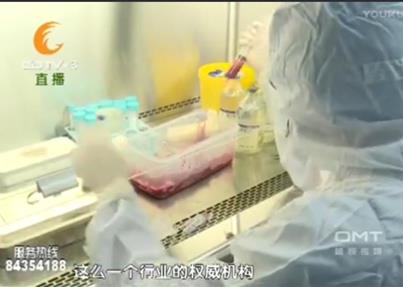 CDTV3《热线188》重磅! 成都细胞达到...