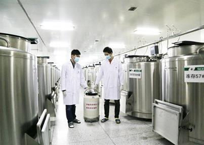 “生命火种”脐带血赴安徽，成都好人已忘了曾经保留