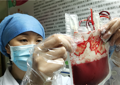 京川携手生命接力 脐带血“快递”不打烊