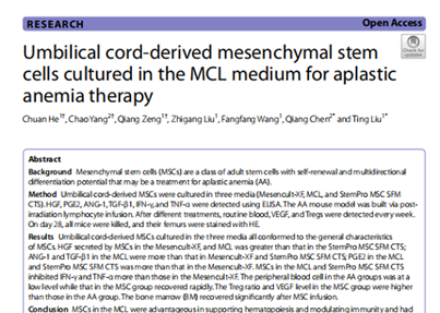 “新生命造”脐带间充质干细胞 支持造血和调节免疫更具优势