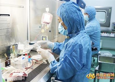 我国脐带血移植应用超12000例 治疗再障和罕见病优势突出