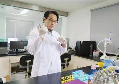 新生命公司引领细胞治疗创新 高纯度效应免疫细胞培养方法获专利