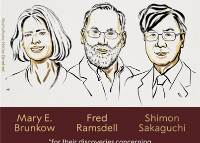 脐带血中的“诺奖细胞” 可为免疫反应“踩刹车”