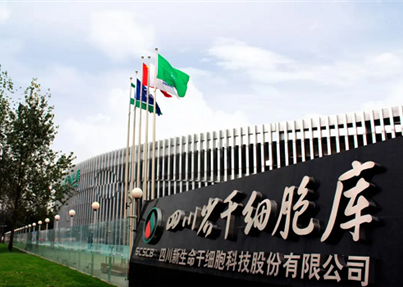 科研动态 | 胎盘间充质干细或可改善多囊卵巢综合征导致的不孕