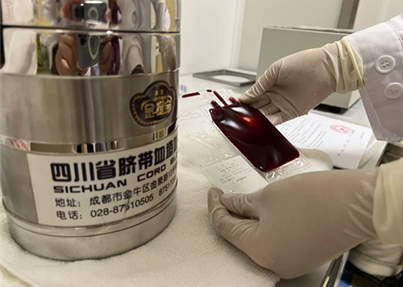 研究揭示，脐带血移植可能根本没有体重限制