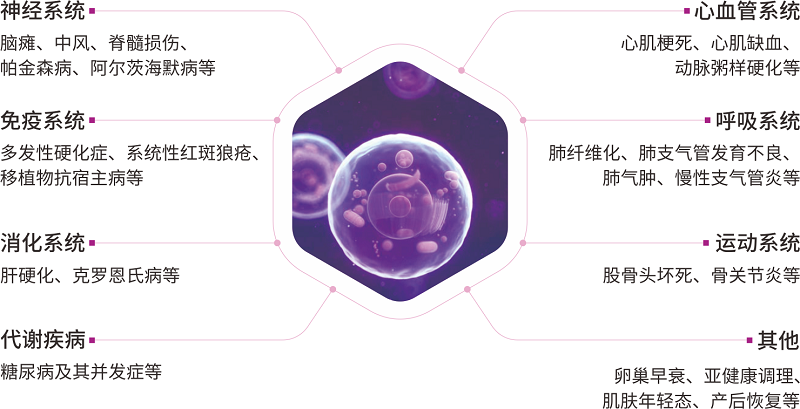 2025-7-8 胎盘4折页（胎盘间充质干细胞）Q